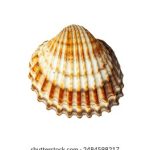 19pco8