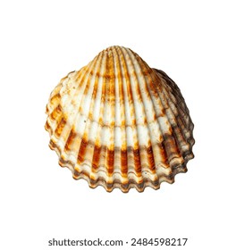 19pco8